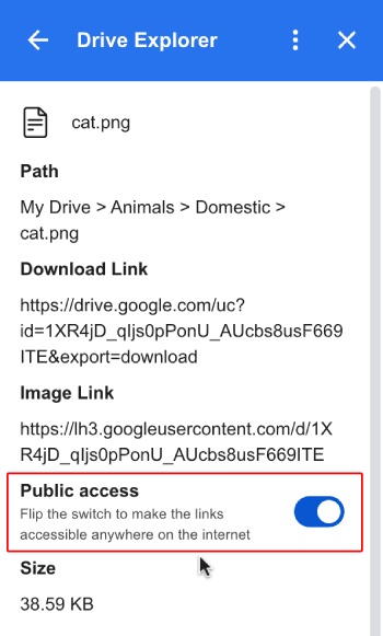 public access switch to share the image with anyone with the link